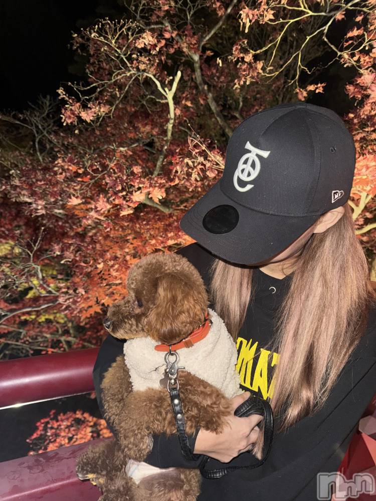 Х顦Club Calnet(֡) ߥ1117̥֥֤