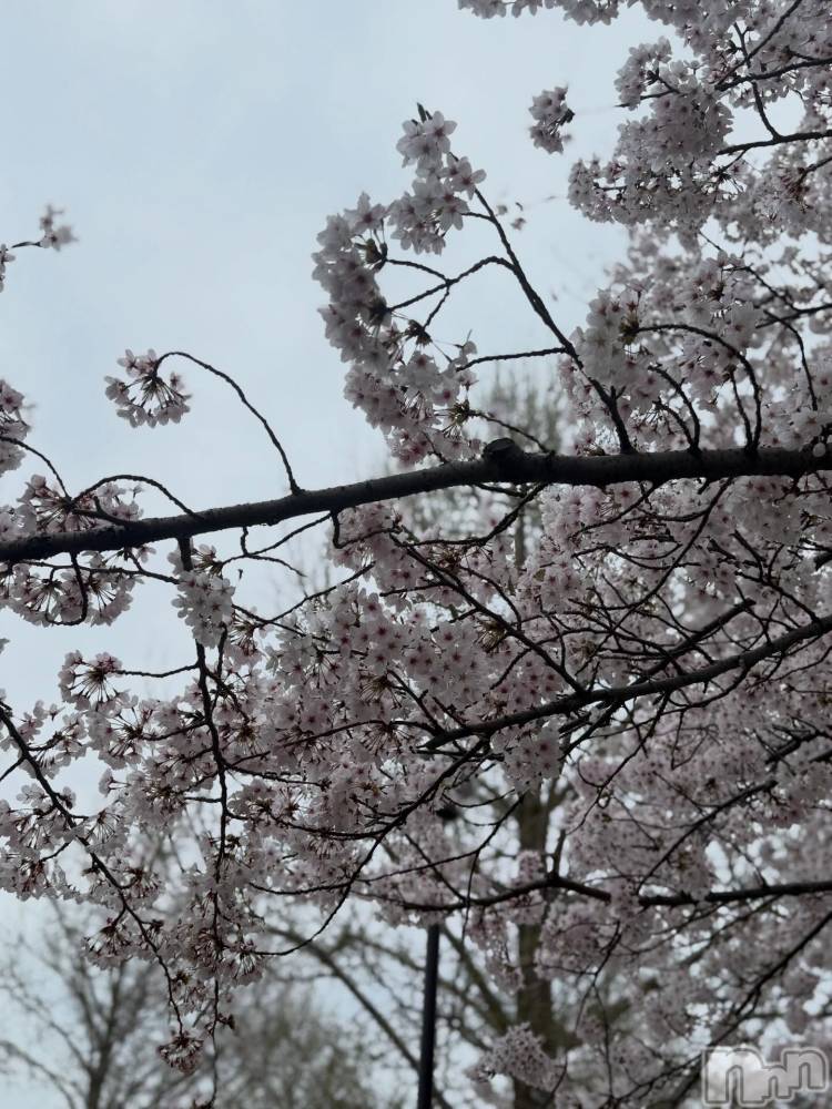 �����������Х��顦�����Club Ludan(����֥����) �ߥ���4��9���̥�֥�����4��9�� 19��05ʬ�μ̥�֥�����