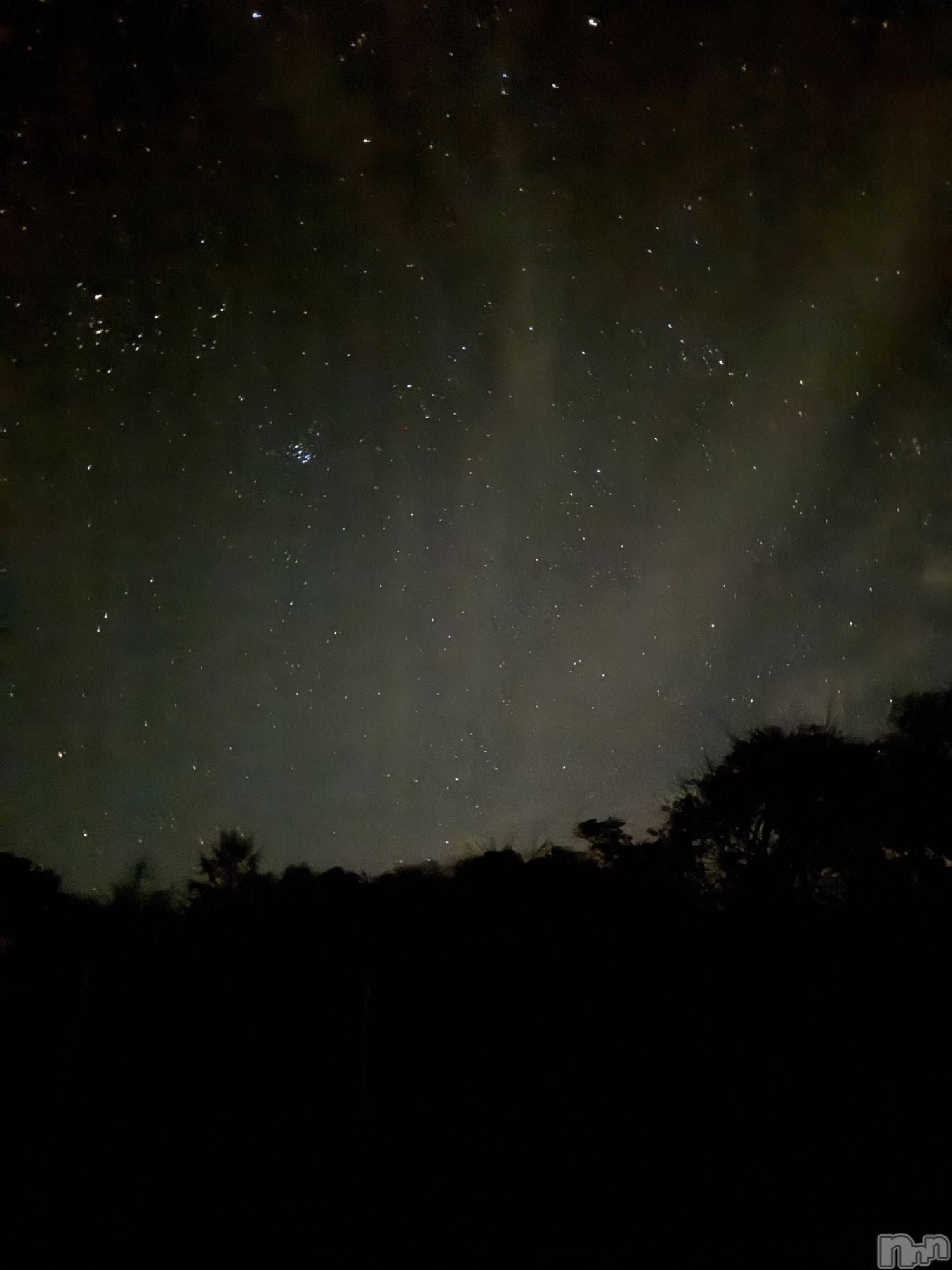 Х顦Club Calnet(֡) 2025ǯ1116̥֥֤त顩