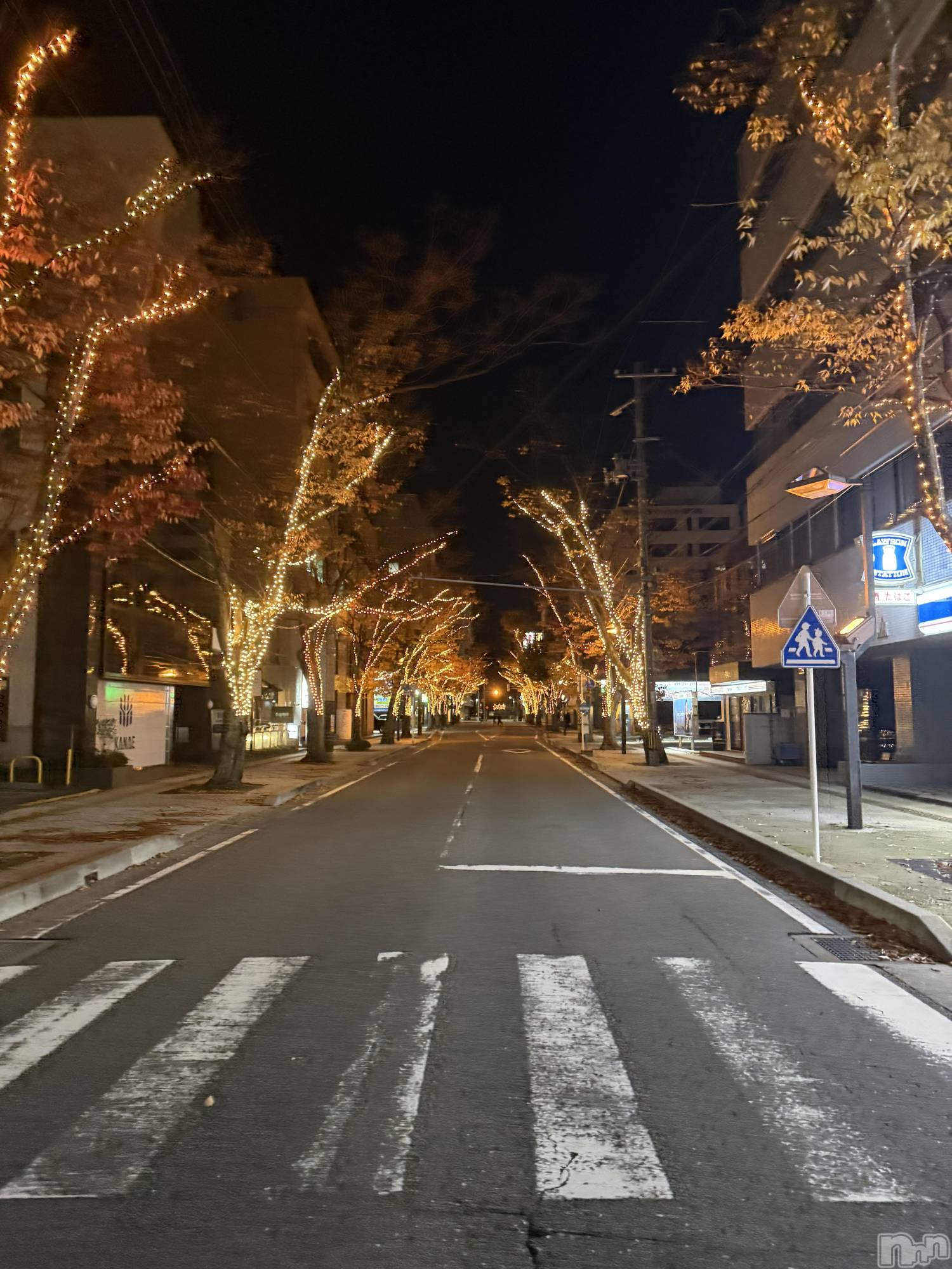 Х顦Club Calnet(֡) 2025ǯ1122̥֥ǯ