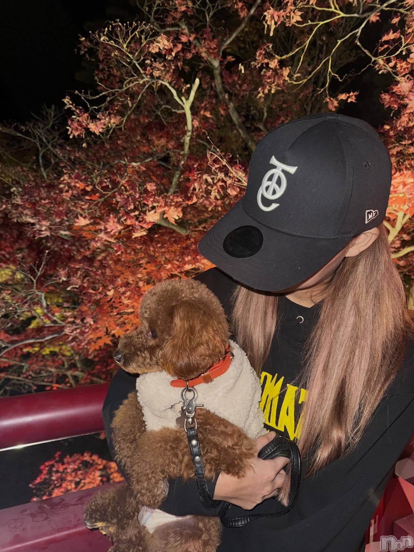 Х顦Club Calnet(֡) 2025ǯ129̥֥129 1551ʬμ̥֥