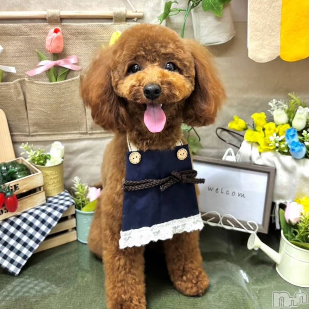 �����������Х��顦�����Club Calnet(����֡������) ��2025ǯ12��17���̥�֥�����12��17�� 14��07ʬ�μ̥�֥�����