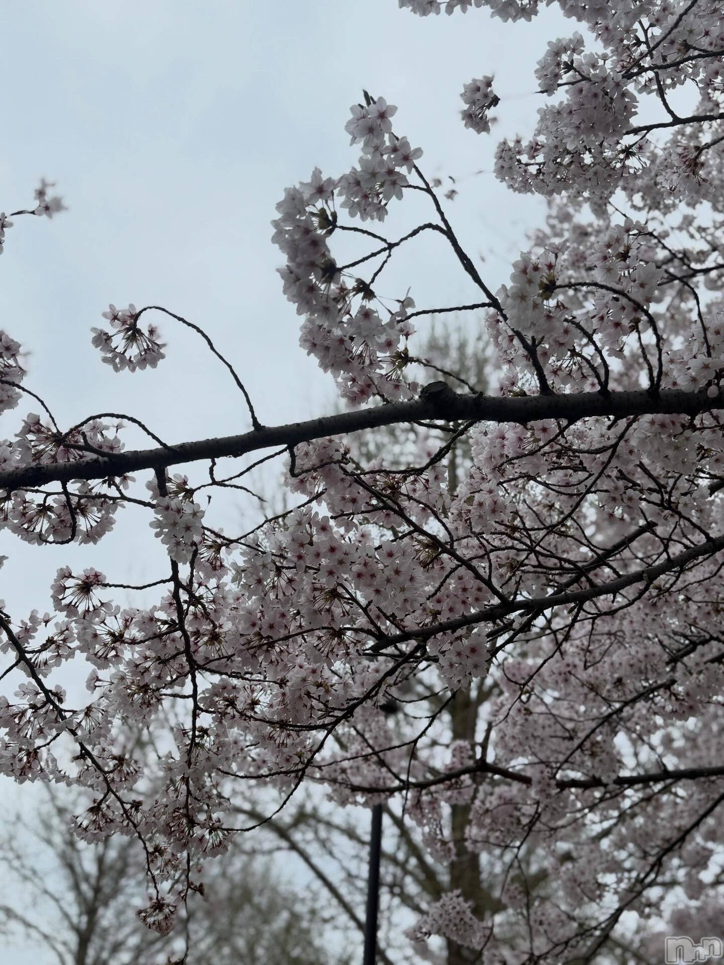 �����������Х��顦�����Club Ludan(����֥����) ��2026ǯ4��9���̥�֥�����4��9�� 19��05ʬ�μ̥�֥�����