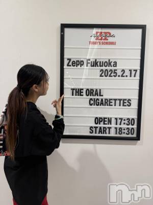 Х顦Club Calnet(֡) ߥ218̥֥Zeppʡ