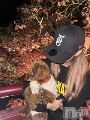 Х顦Club Calnet(֡) ߥ1117̥֥֤