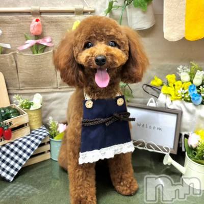 �����������Х��顦�����Club Ludan(����֥����) �ߥ���12��17���̥�֥����֤����Τ�󤳤Τ�������🤍��