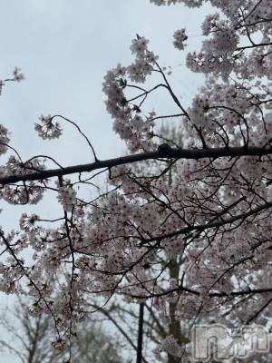 �����������Х��顦�����Club Ludan(����֥����) �ߥ���4��9���̥�֥�����4��9�� 19��05ʬ�μ̥�֥�����