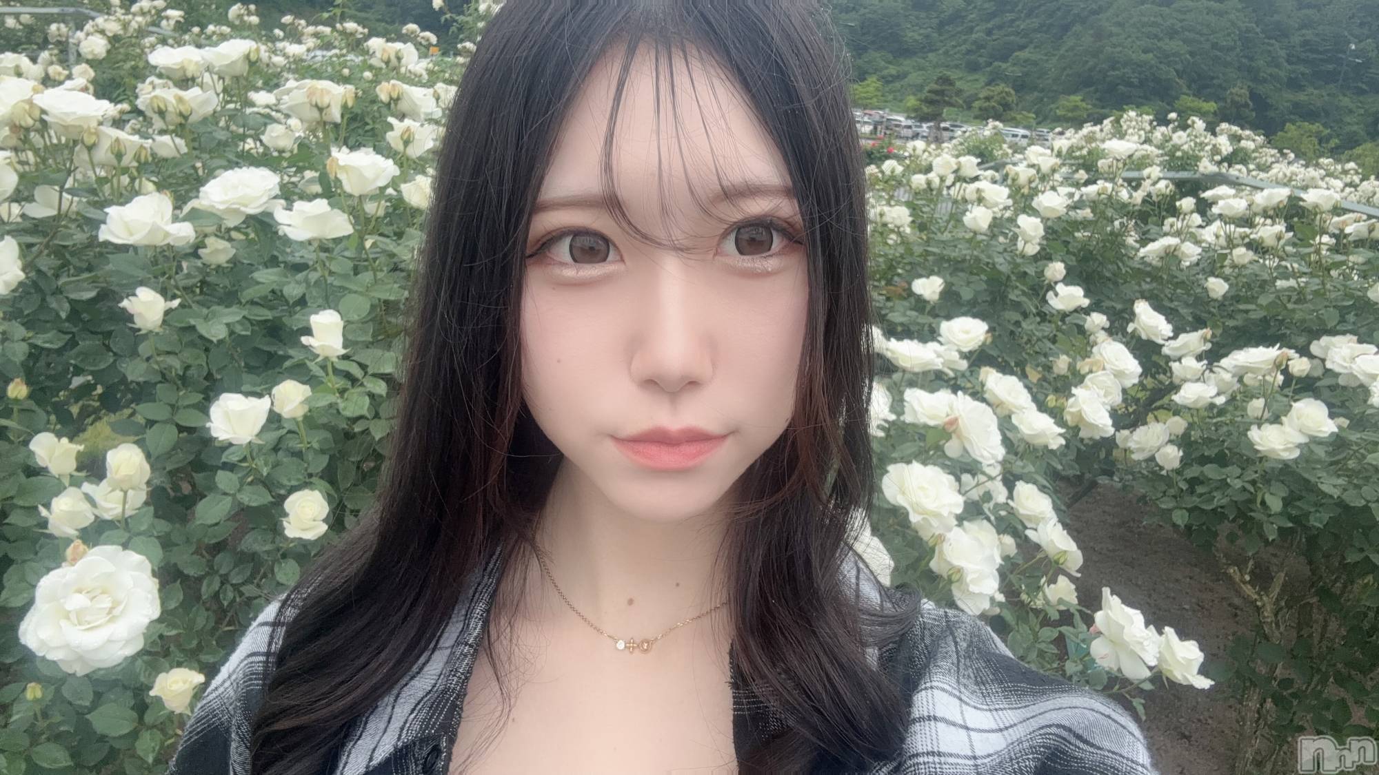 Х顦Club Calnet(֡) 2025ǯ65̥֥ŷä🥲