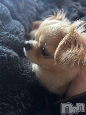 �����������Х��顦�����Club Calnet(����֡������) �Υ���4��10���̥�֥����֤����λ�🐶��