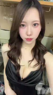 ���������🔎