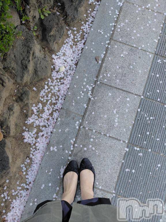 長岡デリヘル奥様特急 長岡店(オクサマトッキュウナガオカテン)あかね(42)の2026年4月16日写メブログ「儚い🌸」