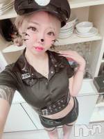 ĮХ顦Club Lusso(֡å) ߤ(22)1031̥֥1031 2103ʬΥ֥