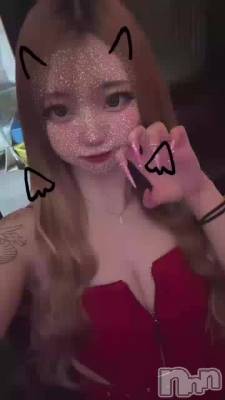 116 2033ʬΥ֥