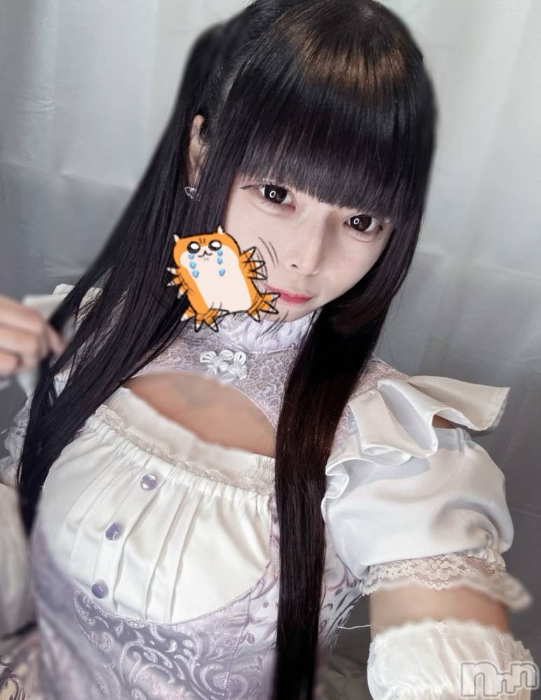 ĮåȥСᥤɥեLINK(ᥤɥե) 椢115̥֥❤︎