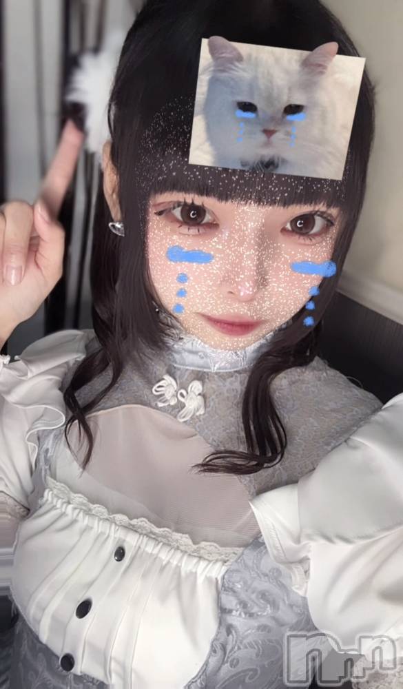 ĮåȥСᥤɥեLINK(ᥤɥե) 椢1212ֹ̥֥