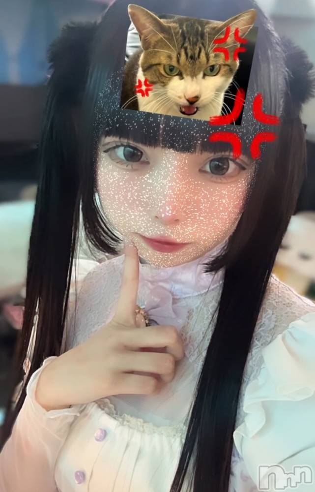 ĮåȥСᥤɥեLINK(ᥤɥե) 椢1220̥֥֤⤦ǯä㤦񤤤🐶