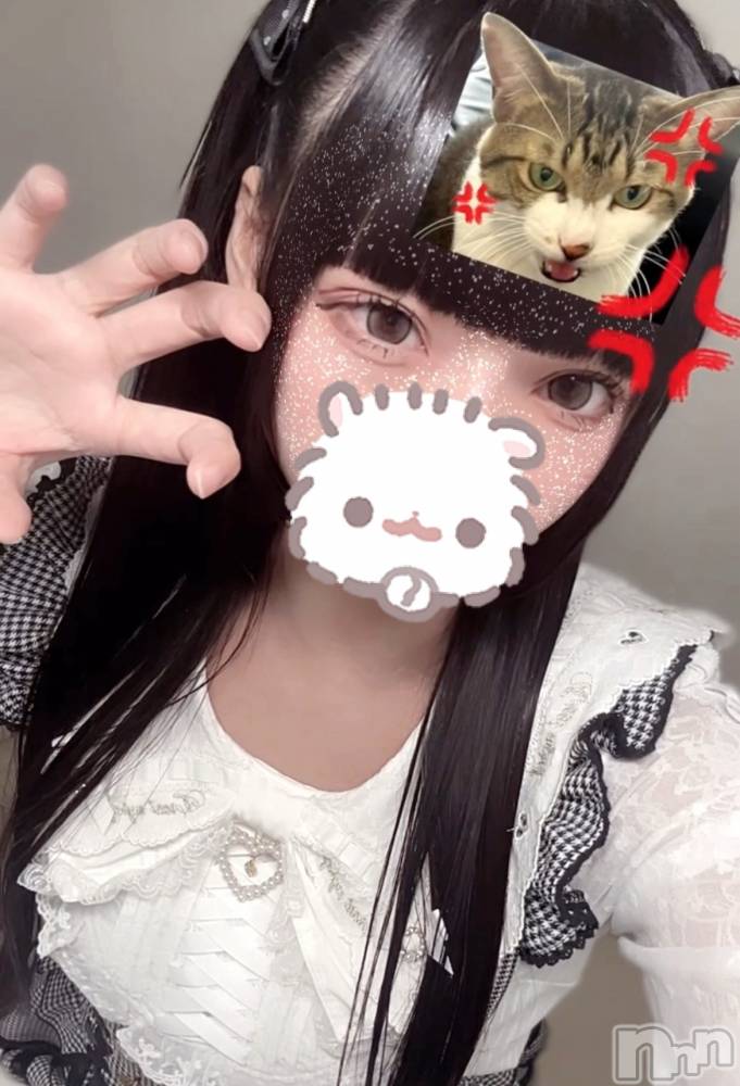 ĮåȥСᥤɥեLINK(ᥤɥե) 椢1224ֺ̥֥ϤƤ🐙