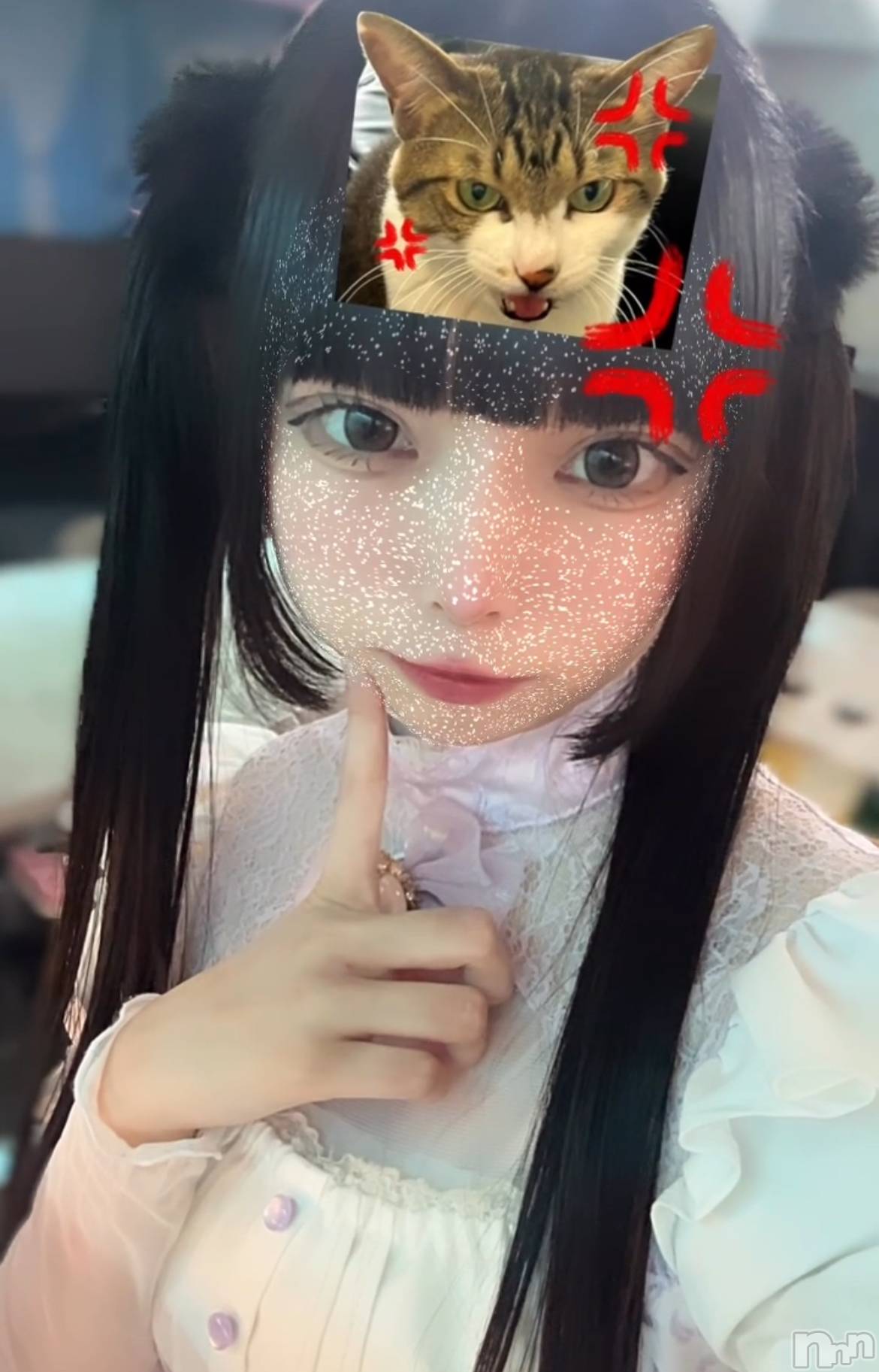 ĮåȥСᥤɥեLINK(ᥤɥե) 2024ǯ1220̥֥֤⤦ǯä㤦񤤤🐶