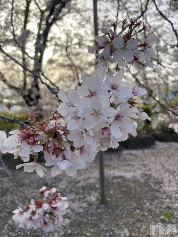 ܱХ顦CLUB FOUR LEAF(ե꡼) ޤ418̥֥🌸