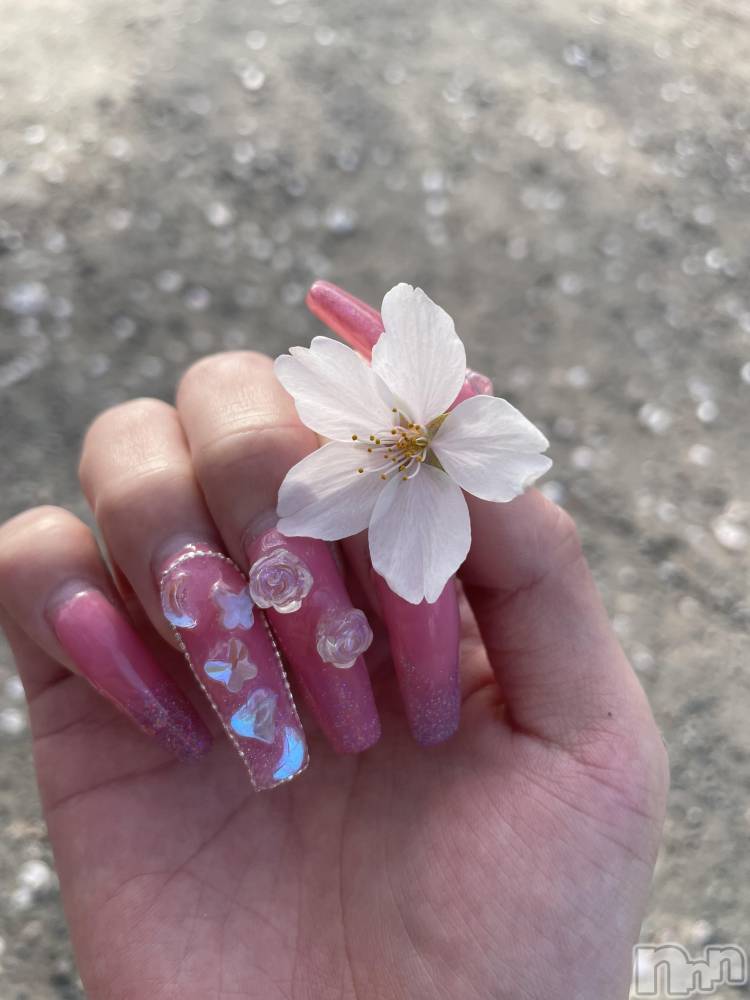 ܱХ顦CLUB FOUR LEAF(ե꡼) ޤ422̥֥🌸