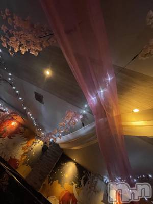 ܱХ顦CLUB FOUR LEAF(ե꡼) ޤ(23)48̥֥48 2038ʬΥ֥