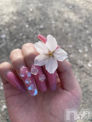 ܱХ顦CLUB FOUR LEAF(ե꡼) ޤ(23)422̥֥🌸