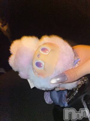 ܱХ顦CLUB FOUR LEAF(ե꡼) ޤ(23)923̥֥🤍