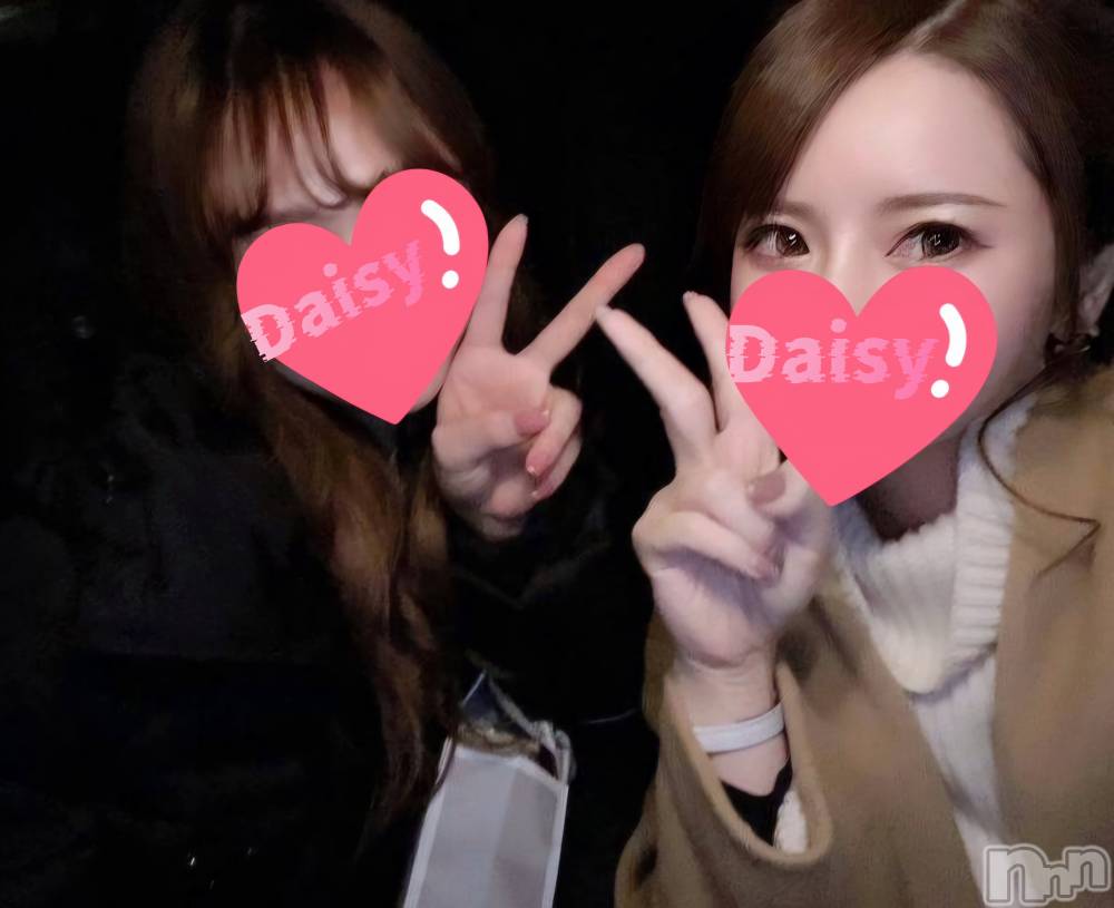 Ĺ襳ѥ˥󥯥Ĺѥ˥-Daisy- ǥ (Ĺȯ 㸩)(ʥѥ˥ǥ) 108̥֥֤❕