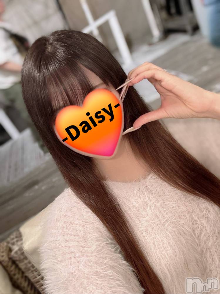 Ĺ襳ѥ˥󥯥Ĺѥ˥-Daisy- ǥ (Ĺȯ 㸩)(ʥѥ˥ǥ) 109̥֥֤äۡ❕