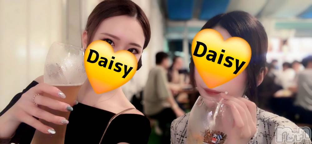 Ĺ襳ѥ˥󥯥Ĺѥ˥-Daisy- ǥ (Ĺȯ 㸩)(ʥѥ˥ǥ) 113̥֥֤äۡ❕