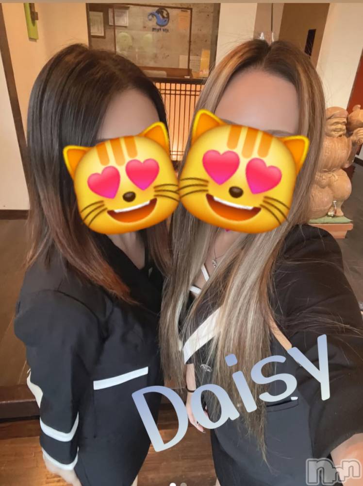 Ĺ襳ѥ˥󥯥Ĺѥ˥-Daisy- ǥ (Ĺȯ 㸩)(ʥѥ˥ǥ) 324ֽ̥֥դ🌸