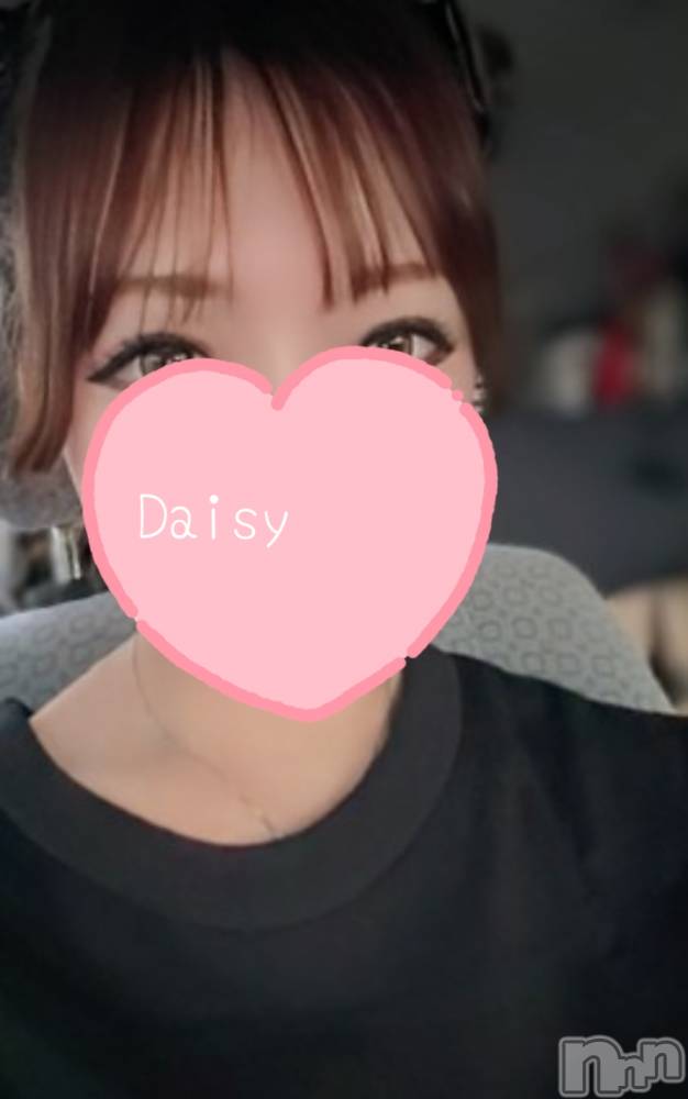 Ĺ�����������襳��ѥ˥��󥯥��Ĺ������ѥ˥���-Daisy- �ǥ����� (Ĺ����ȯ ���㸩����)(�ʥ���������ѥ˥���ǥ�����) ˨�ޥޤ�12��20���̥�֥����־���ë��񡪡�