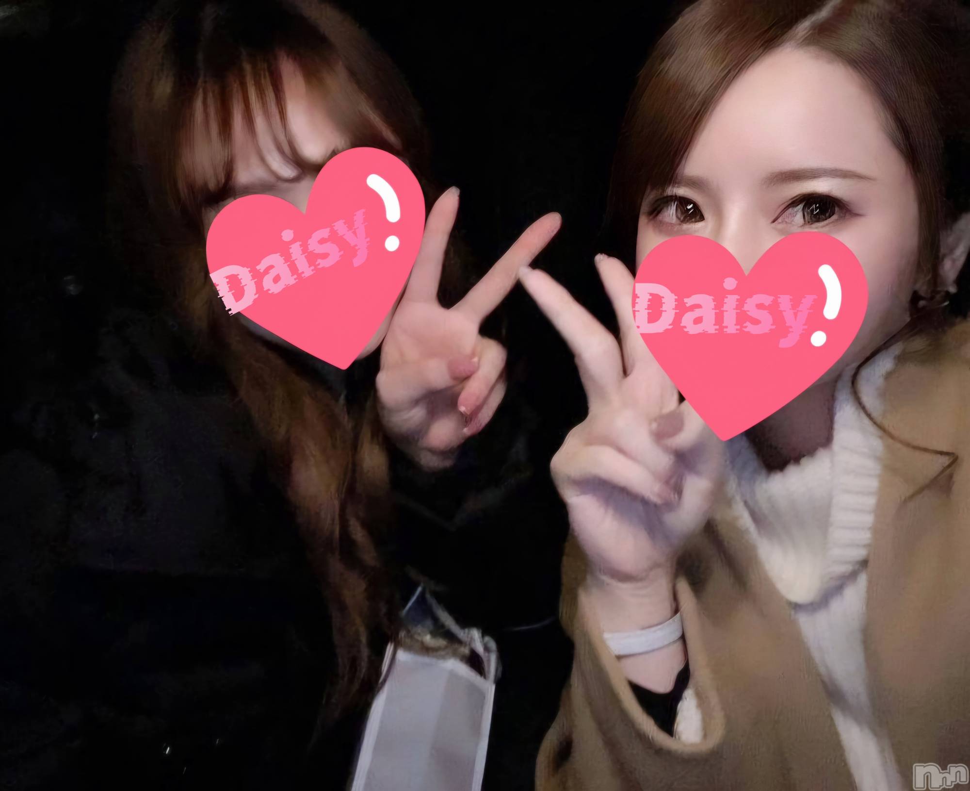Ĺ襳ѥ˥󥯥Ĺѥ˥-Daisy- ǥ (Ĺȯ 㸩)(ʥѥ˥ǥ) 2024ǯ108̥֥֤❕