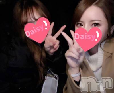 Ĺ襳ѥ˥󥯥Ĺѥ˥-Daisy- ǥ (Ĺȯ 㸩)(ʥѥ˥ǥ) (21)108̥֥֤❕