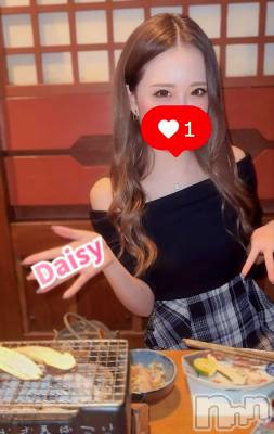Ĺ襳ѥ˥󥯥Ĺѥ˥-Daisy- ǥ (Ĺȯ 㸩)(ʥѥ˥ǥ) (21)1019̥֥🧀✨