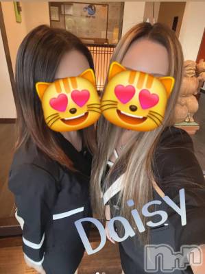 Ĺ襳ѥ˥󥯥Ĺѥ˥-Daisy- ǥ (Ĺȯ 㸩)(ʥѥ˥ǥ) (21)324ֽ̥֥դ🌸