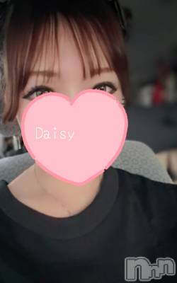 Ĺ�����������襳��ѥ˥��󥯥��Ĺ������ѥ˥���-Daisy- �ǥ����� (Ĺ����ȯ ���㸩����)(�ʥ���������ѥ˥���ǥ�����) ����������(21)��12��20���̥�֥����־���ë��񡪡�