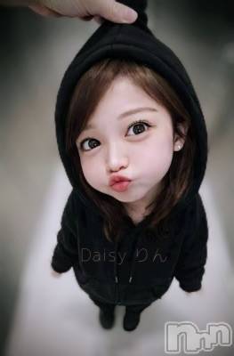 Ĺ�����������襳��ѥ˥��󥯥��Ĺ������ѥ˥���-Daisy- �ǥ����� (Ĺ����ȯ ���㸩����)(�ʥ���������ѥ˥���ǥ�����) ����������(21)��2��4���̥�֥�����⛄��