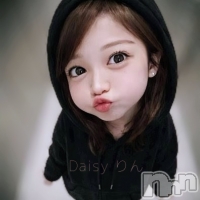 Ĺ������ѥ˥���-Daisy- �ǥ����� (Ĺ����ȯ ���㸩����)