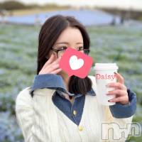 Ĺ襳ѥ˥󥯥 Ĺѥ˥-Daisy- ǥ (Ĺȯ 㸩)(ʥѥ˥ǥ) β(2)