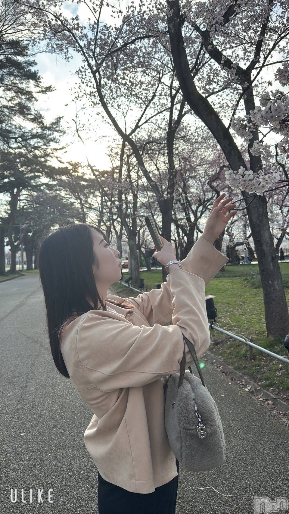 ����ȯ����ѥ˥��󥯥�ֿ��㥳��� -���㥳��ѥ˥��󥯥��-(�˥���������� -�˥���������ѥ˥��󥯥��-) ��2026ǯ4��9���̥�֥����֤��ָ�🌸��