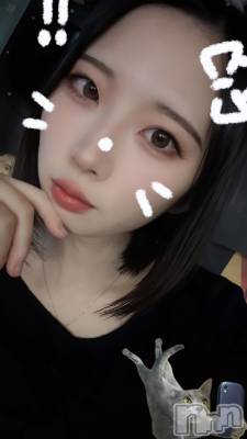ȯѥ˥󥯥ֿ㥳 -㥳ѥ˥󥯥-(˥ -˥ѥ˥󥯥-) ʤʤߡ夲ȴ72̥֥֤ʰᤴޤ