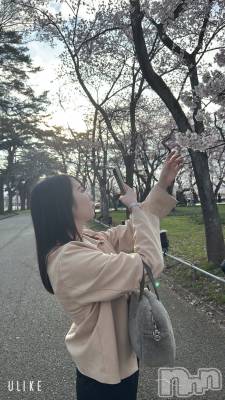 ����ȯ����ѥ˥��󥯥�ֿ��㥳��� -���㥳��ѥ˥��󥯥��-(�˥���������� -�˥���������ѥ˥��󥯥��-) �ʤʤߡ�����夲ȴ����4��9���̥�֥����֤��ָ�🌸��