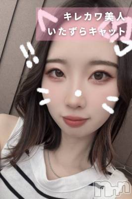 ʤʤߡ夲ȴ ǯҥߥ / Ĺ160cm