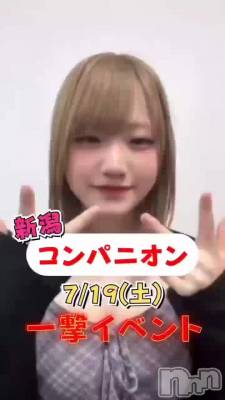 衩
