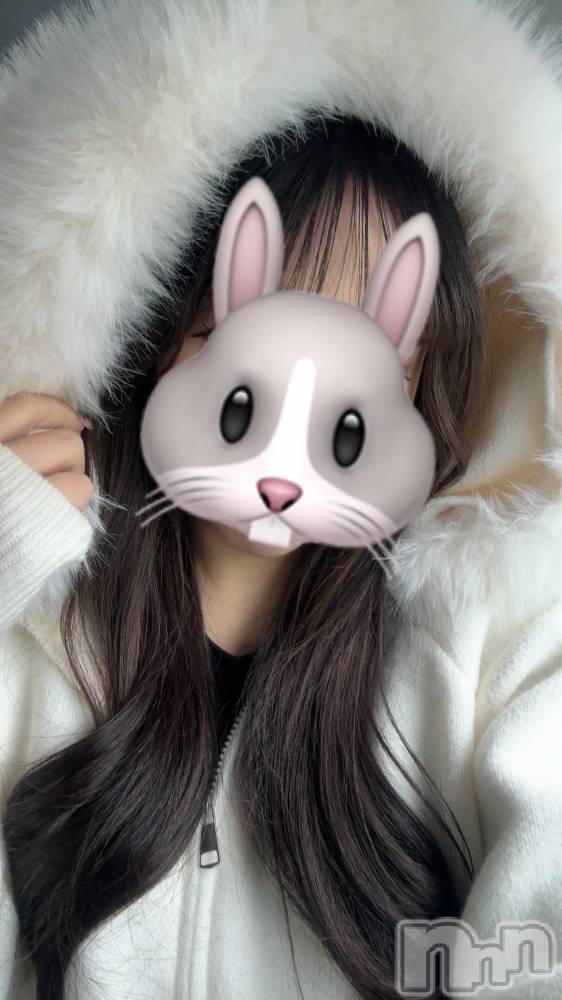 ����ȯ����ѥ˥��󥯥�ֿ��㥳��ѥ˥��� ��������-�϶�15ǯ�ο���ȼ���-(�˥���������ѥ˥��󥹥�����) �ڿ��ۤ͡��ߡ���̾Ψ�⤷����1��14���̥�֥����֤�դ��🫧��