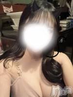 ȯѥ˥󥯥ֿ㥳ѥ˥ -϶15ǯοȼ-(˥ѥ˥󥹥) ڿۤ͡ߡ̾Ψ⤷(24)1121̥֥˺ǯͽ❣️