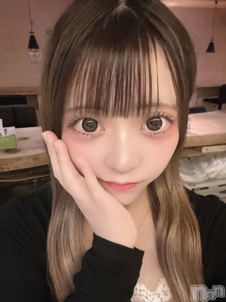 Įʥå륺СL'asile(饸) ͤͤ319ֽ̥֥жС