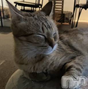 Įʥå륺СL'asile(饸) ͤ(20)1025̥֥֤Ф🌟