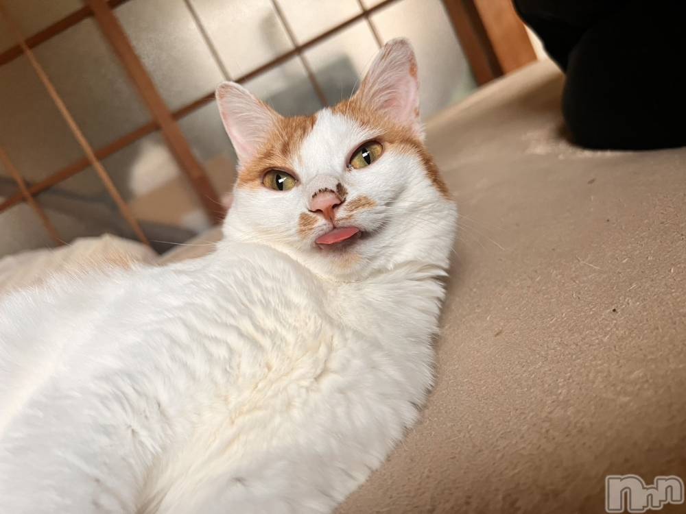 ��ë����Х��顦�����CLUB��Paladin(����֡��ѥ�ǥ���) �ȱʥ��Τ�10��4���̥�֥����֤���ˤ��ϻ�Ǥ���